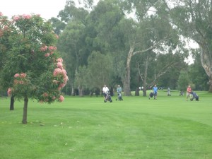 Golf Day 2011 057